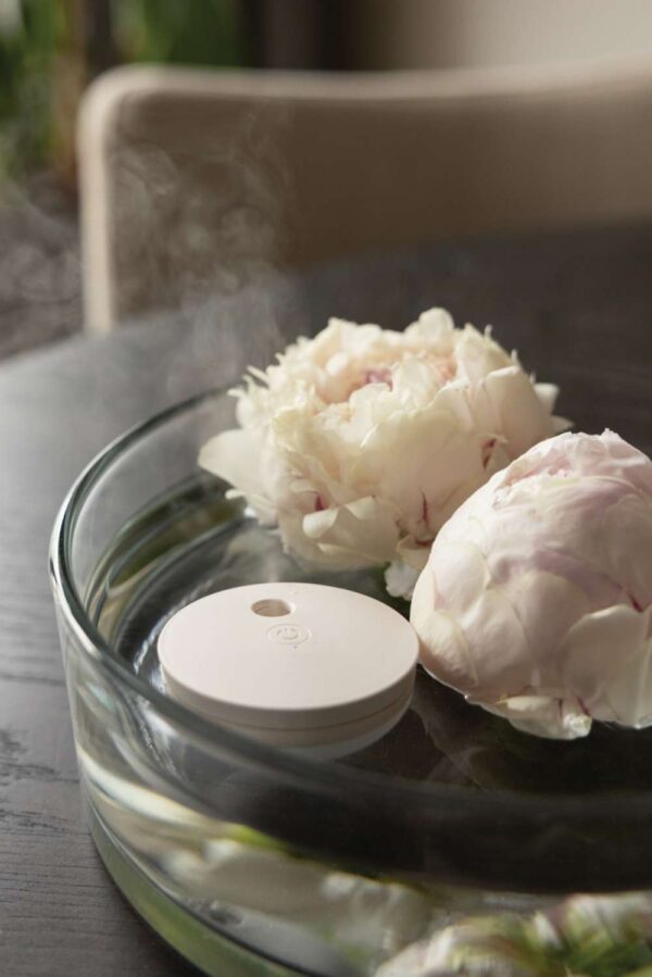 XD-P457.0219 - Image 5