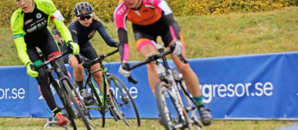 SP-898-20001-1 - Image 2