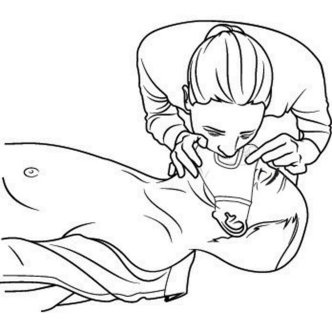 XD-P265.244 - Image 1